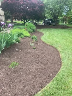 {{ custom_values.service_1 }} in {{custom_values.area_1})