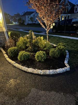 {{ custom_values.service_2 }} in {{custom_values.area_5})