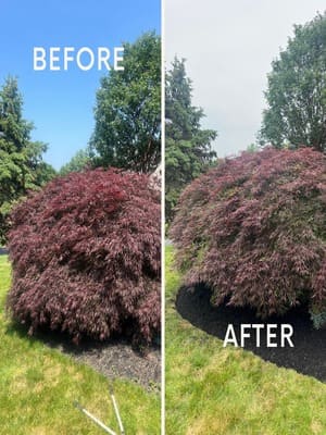 {{ custom_values.service_3 }} in {{custom_values.area_6})