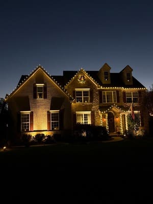 {{ custom_values.service_4 }} in {{custom_values.area_4})