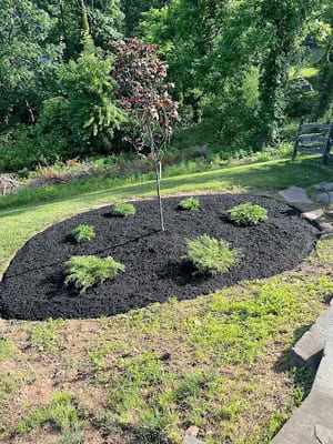 {{ custom_values.service_1 }} in {{custom_values.area_2})