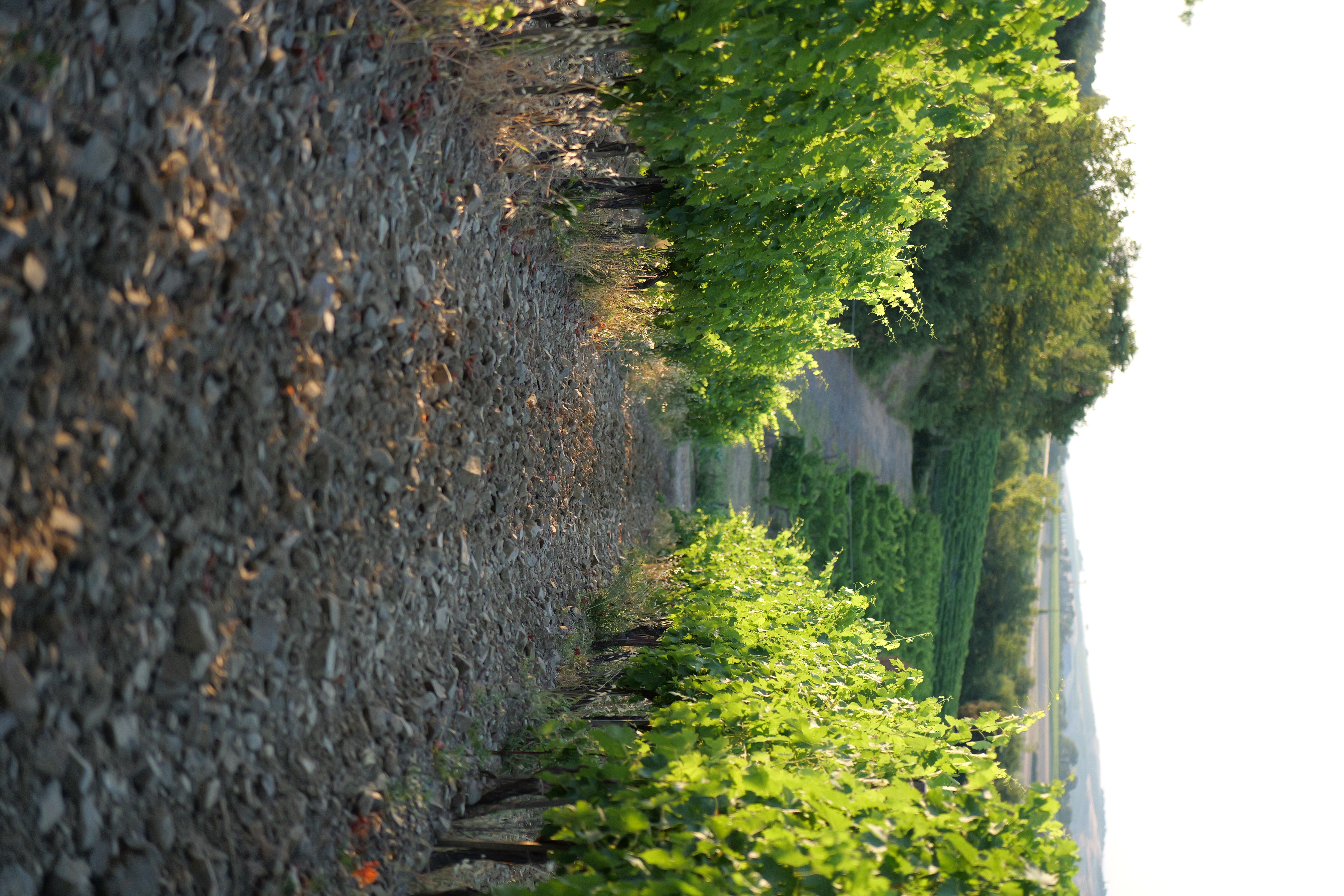 Tavola imbandita in tenuta