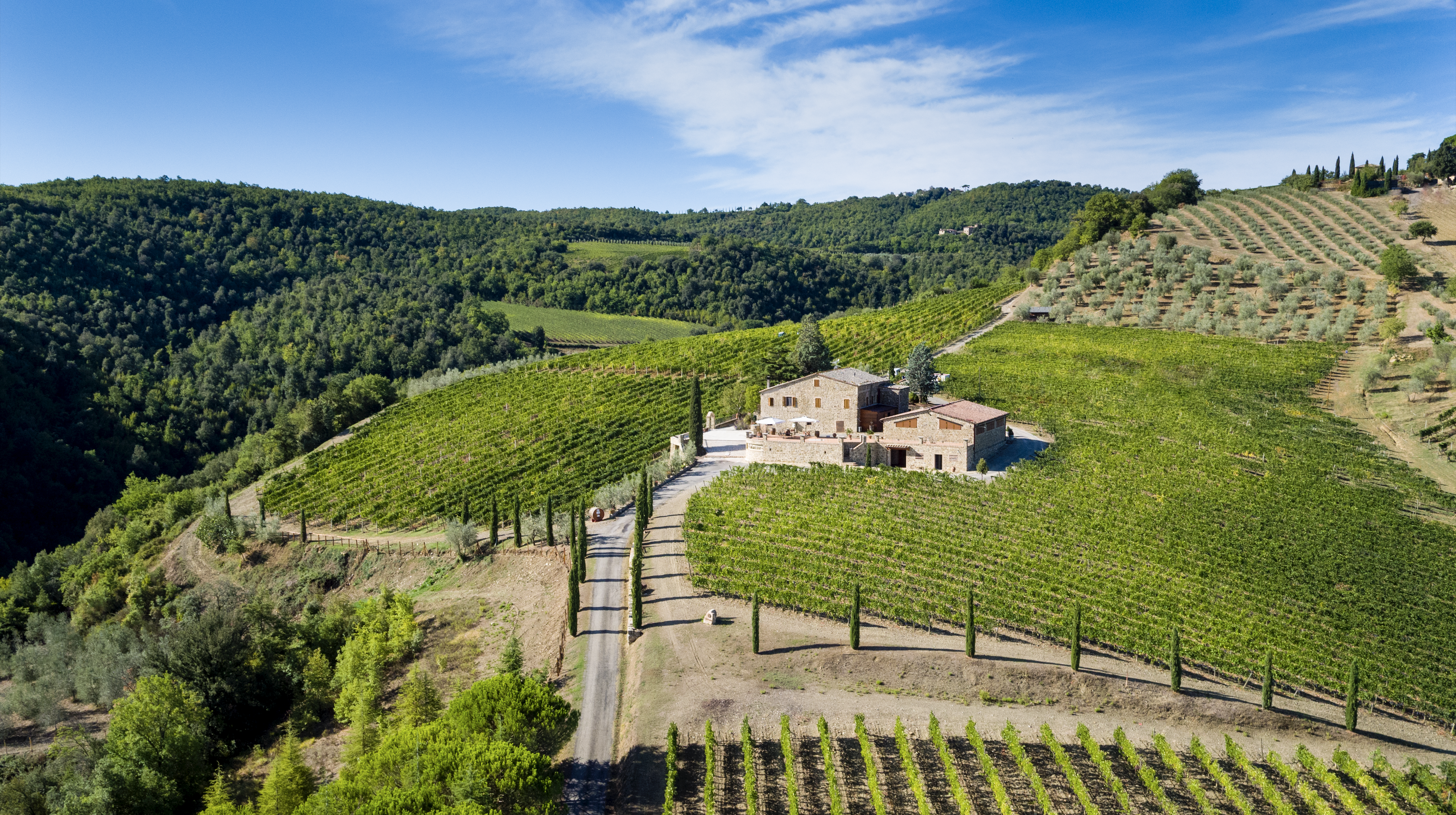 Un momento in tenuta ad Azienda Palazzo