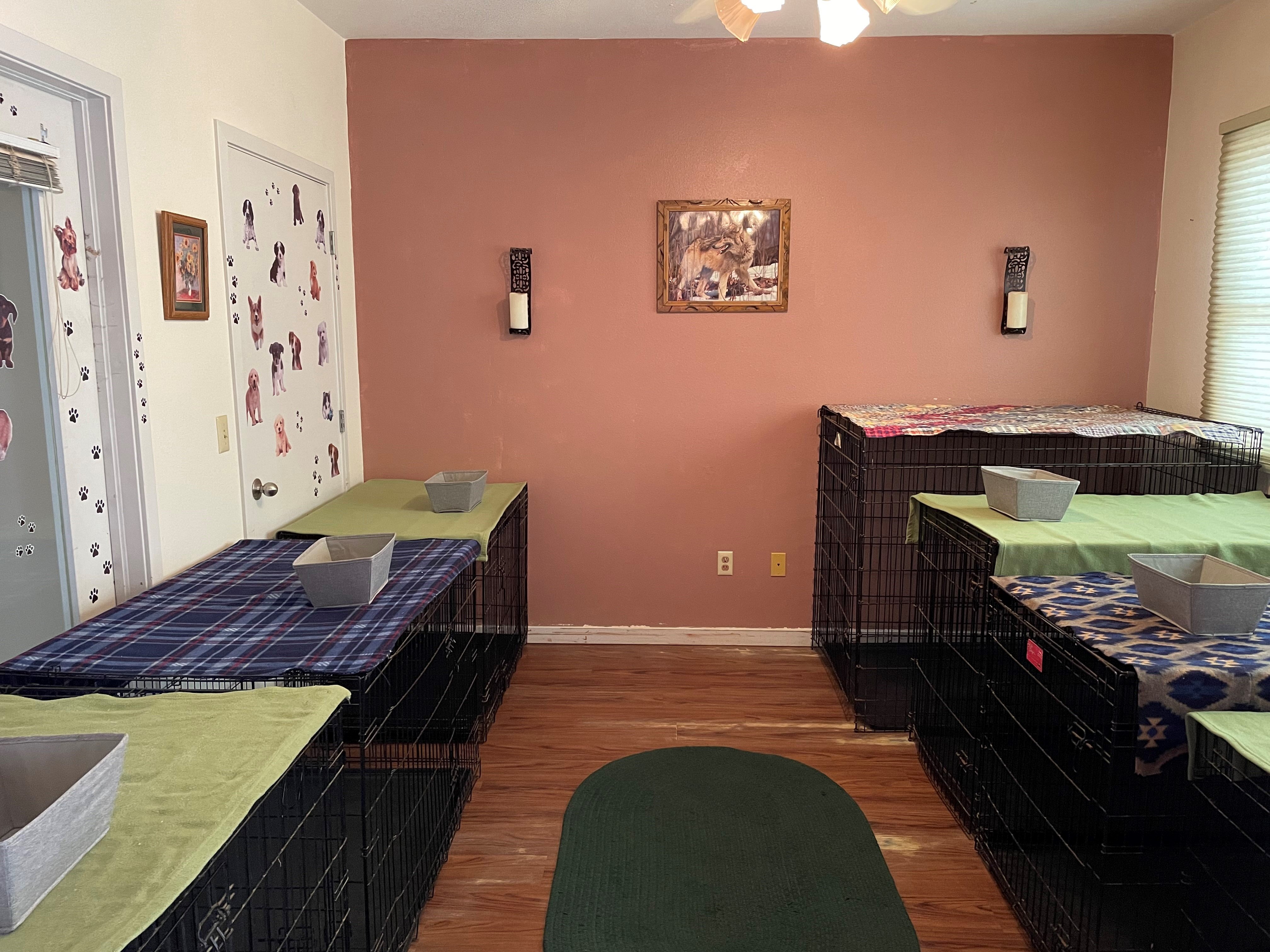 Dog Boarding Estes Park