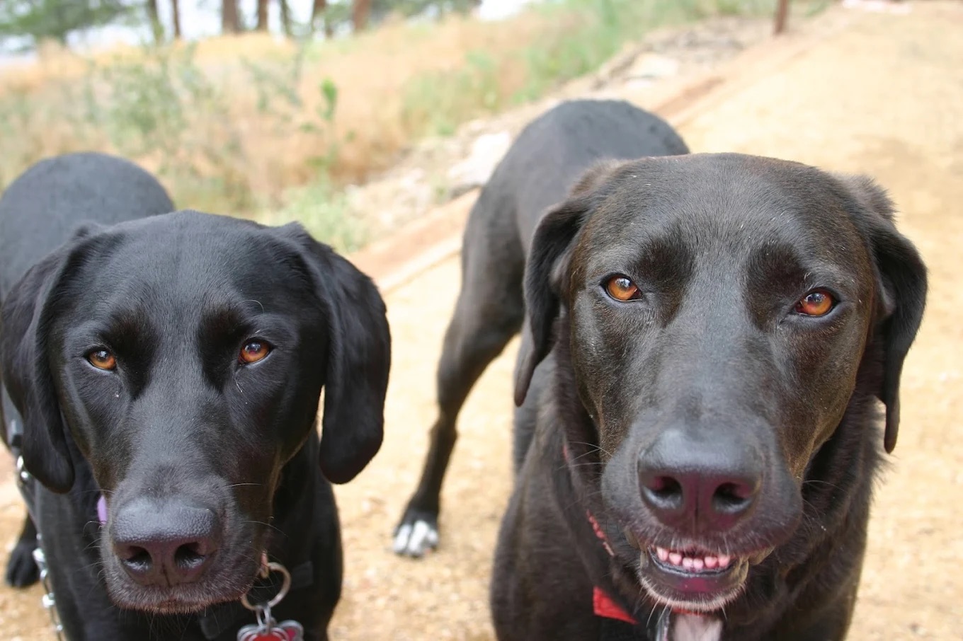 {{ custom_values.service_1 }} in {{custom_values.biz_area_1})