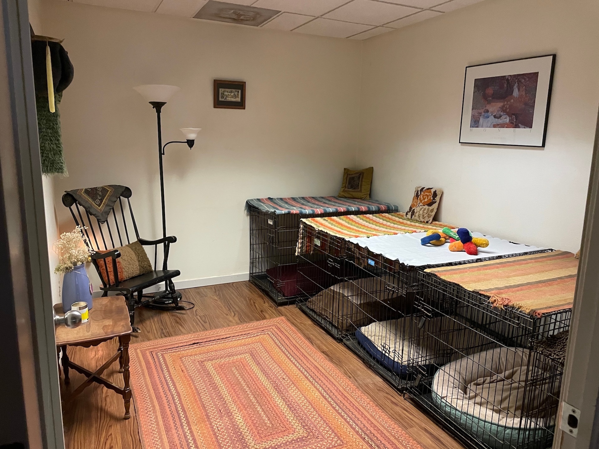 Loveland Dog Boarding