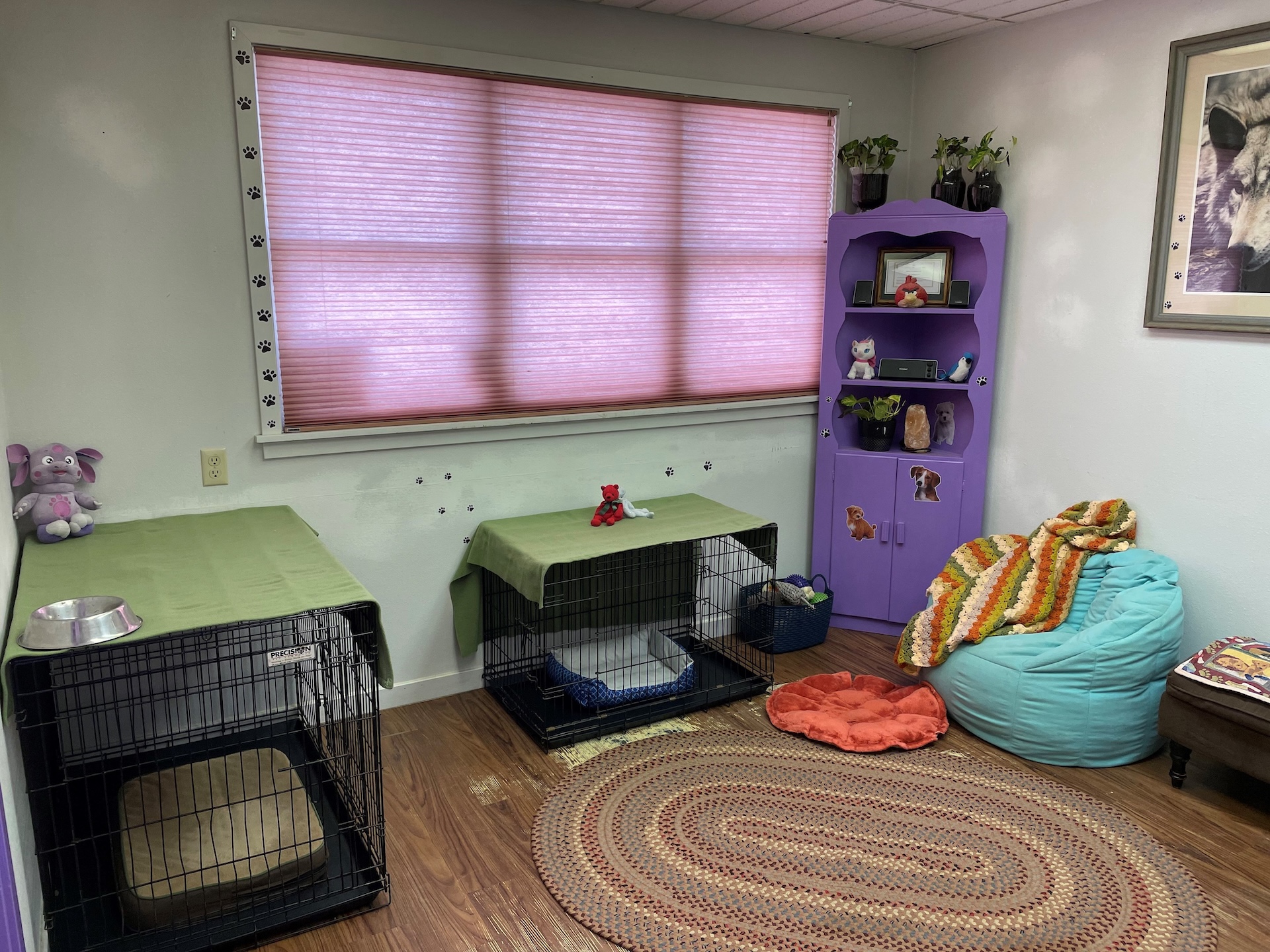 House & Pet Sitting Estes Park