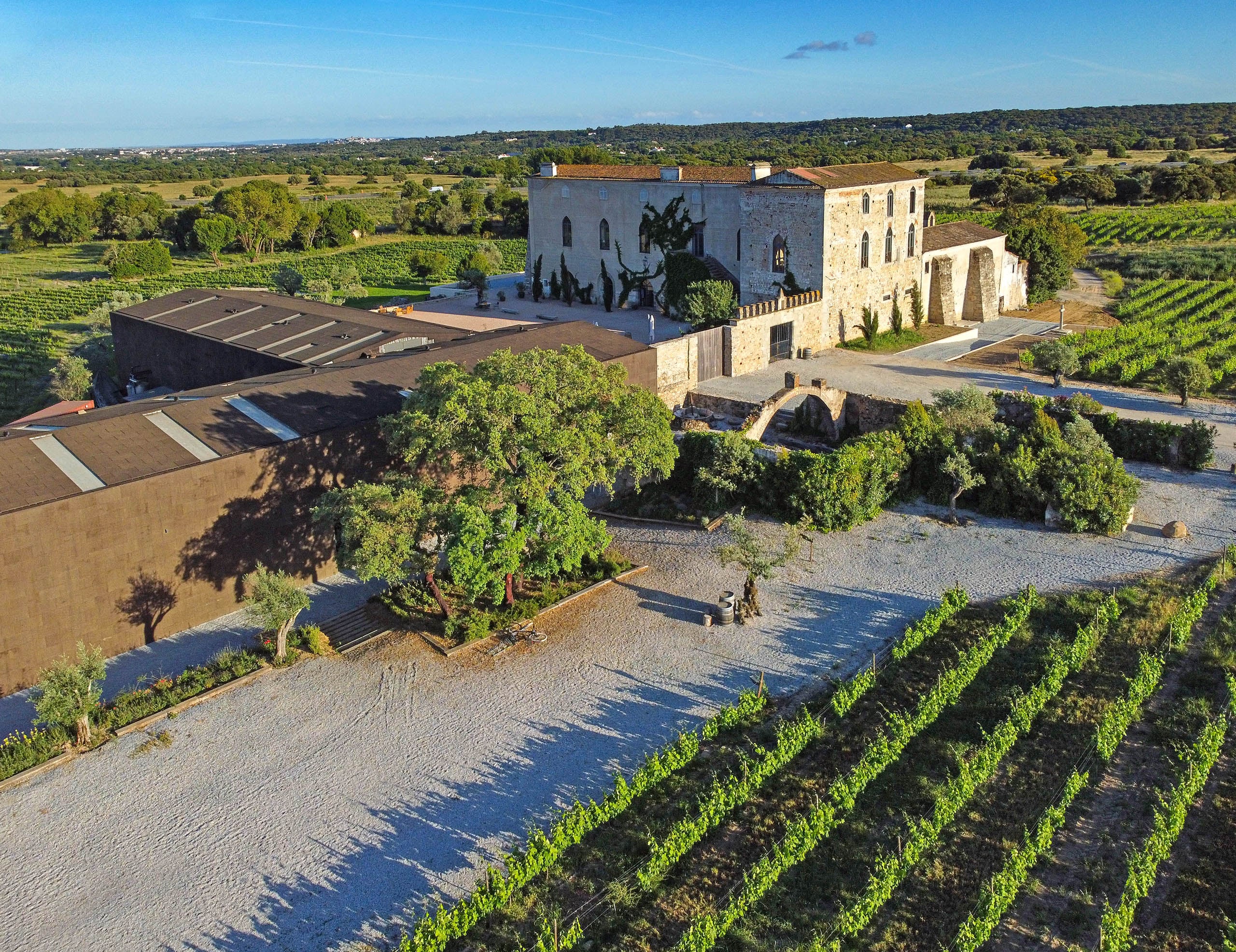 Vineyards near the Atlantic coast in Portugal influenced by ocean climate