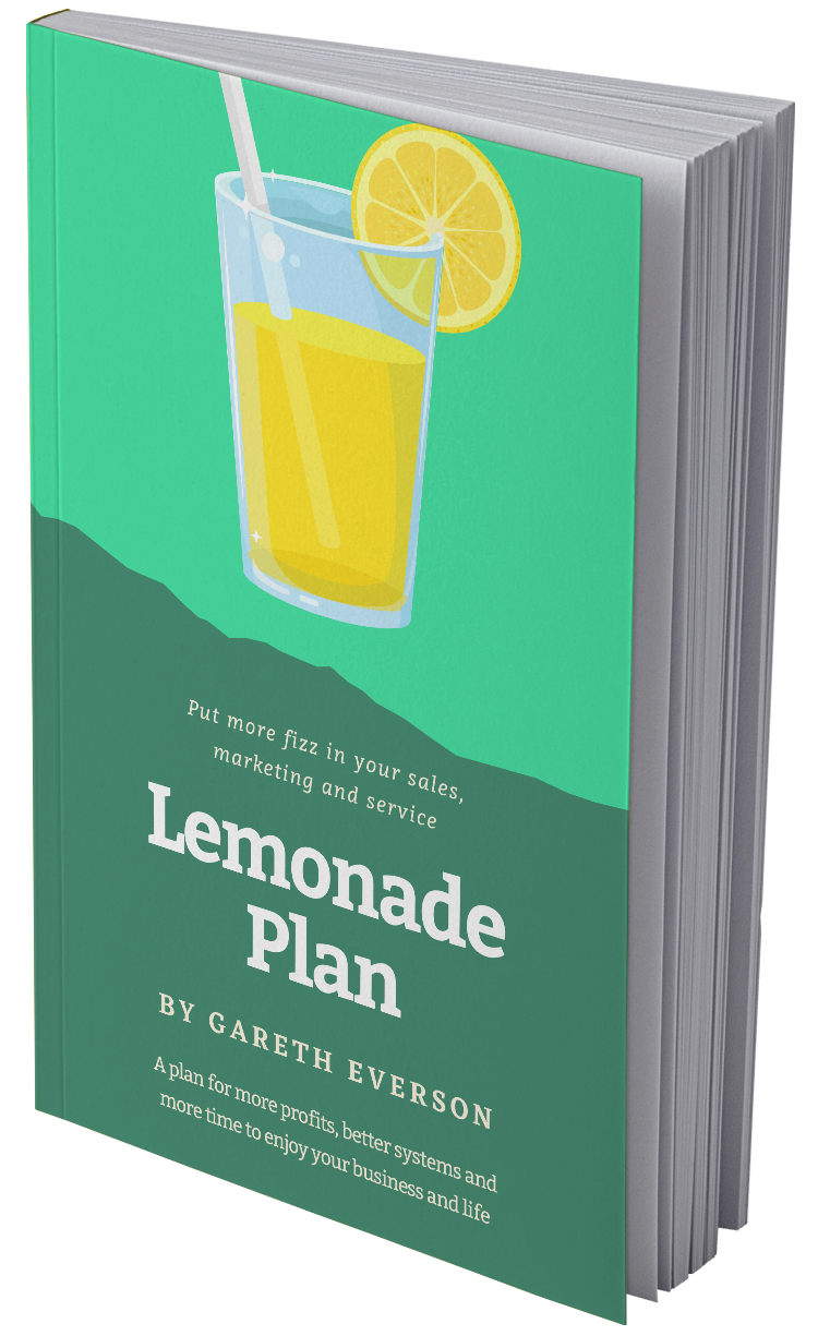 Lemonade Plan Book