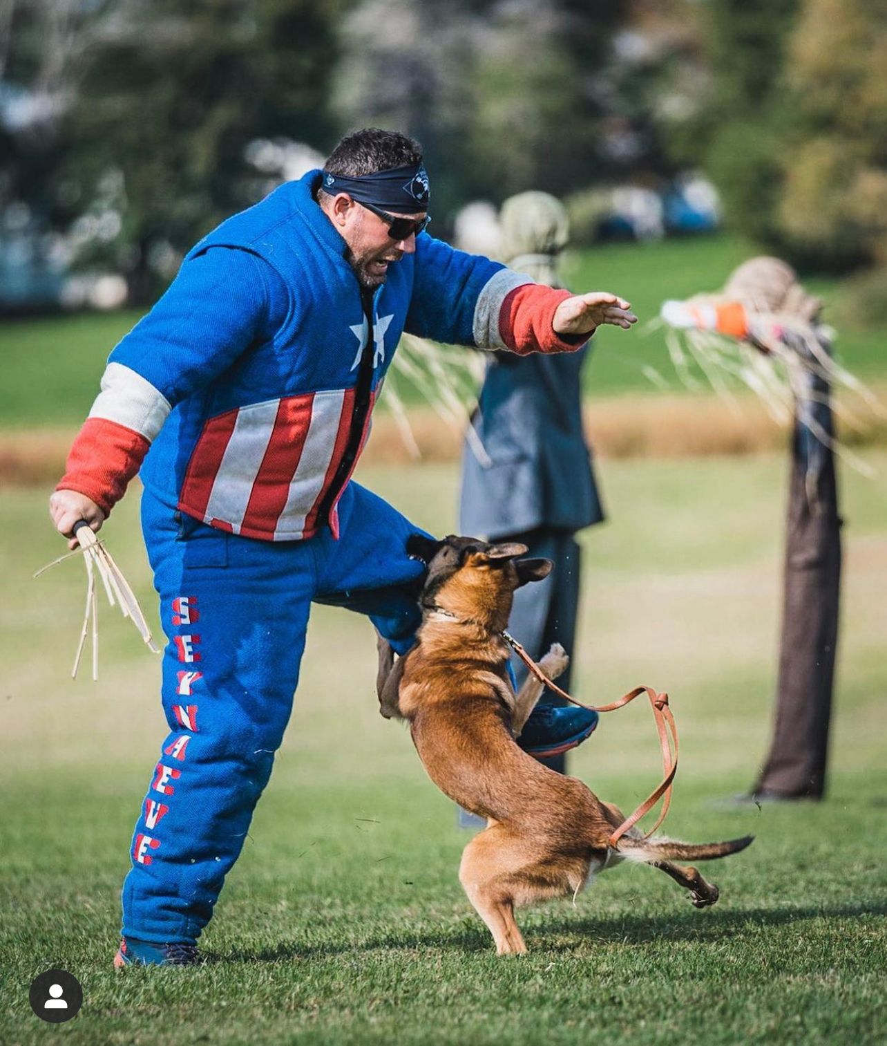 Sports Dog Training Raleigh NC