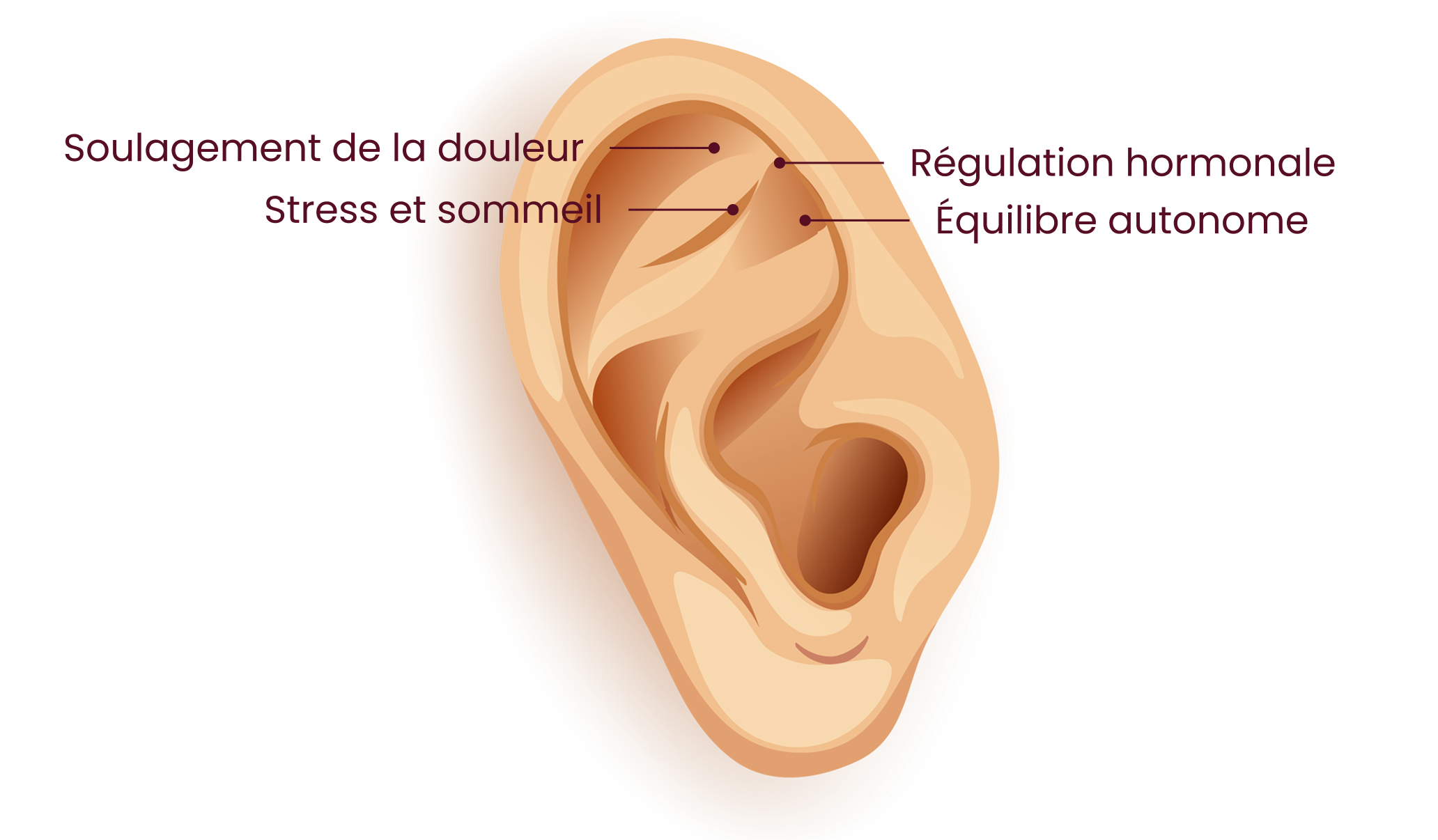 Acupressure points