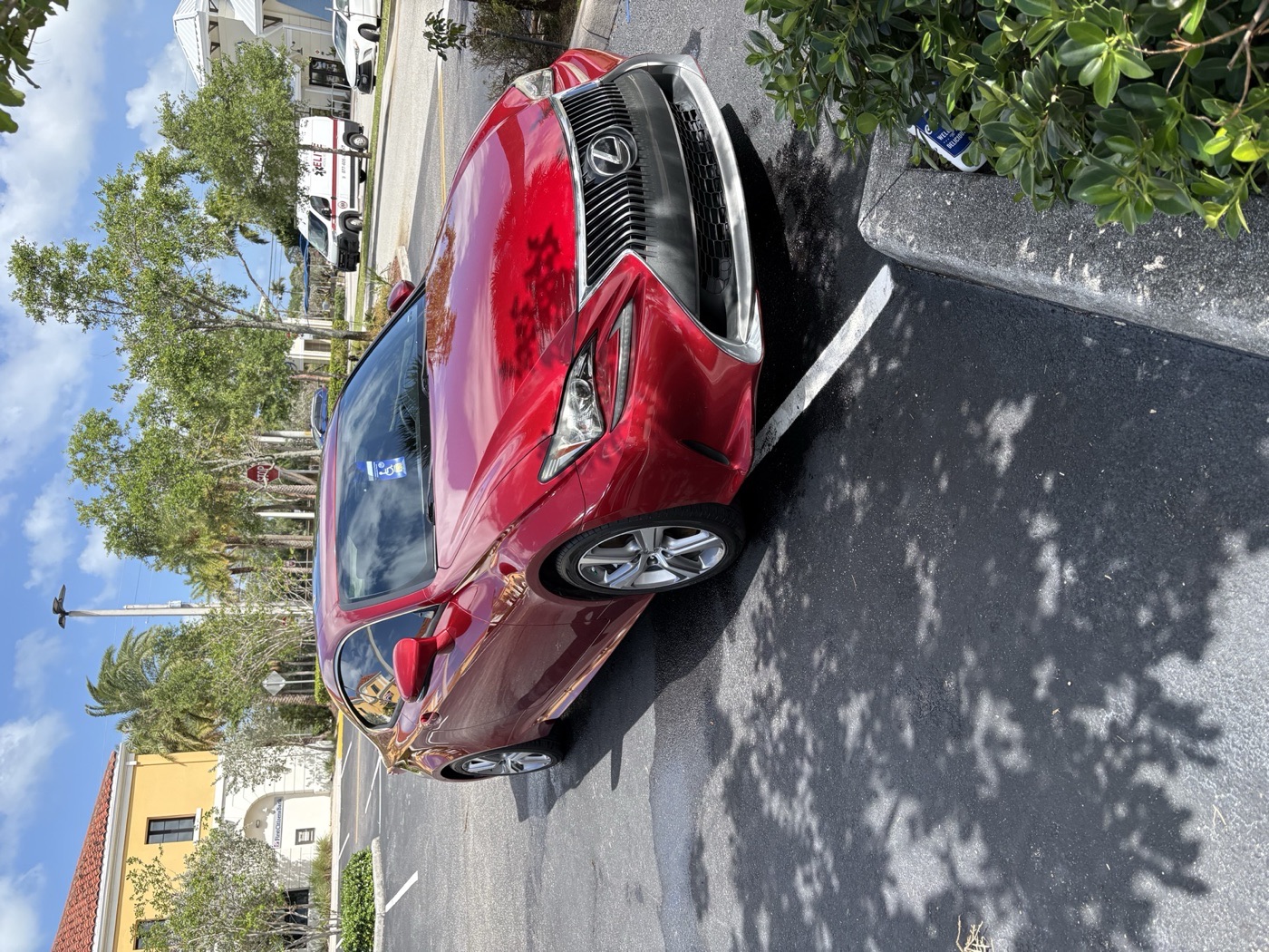 Red Lexus IS coupe &mdash; full detail by Dany