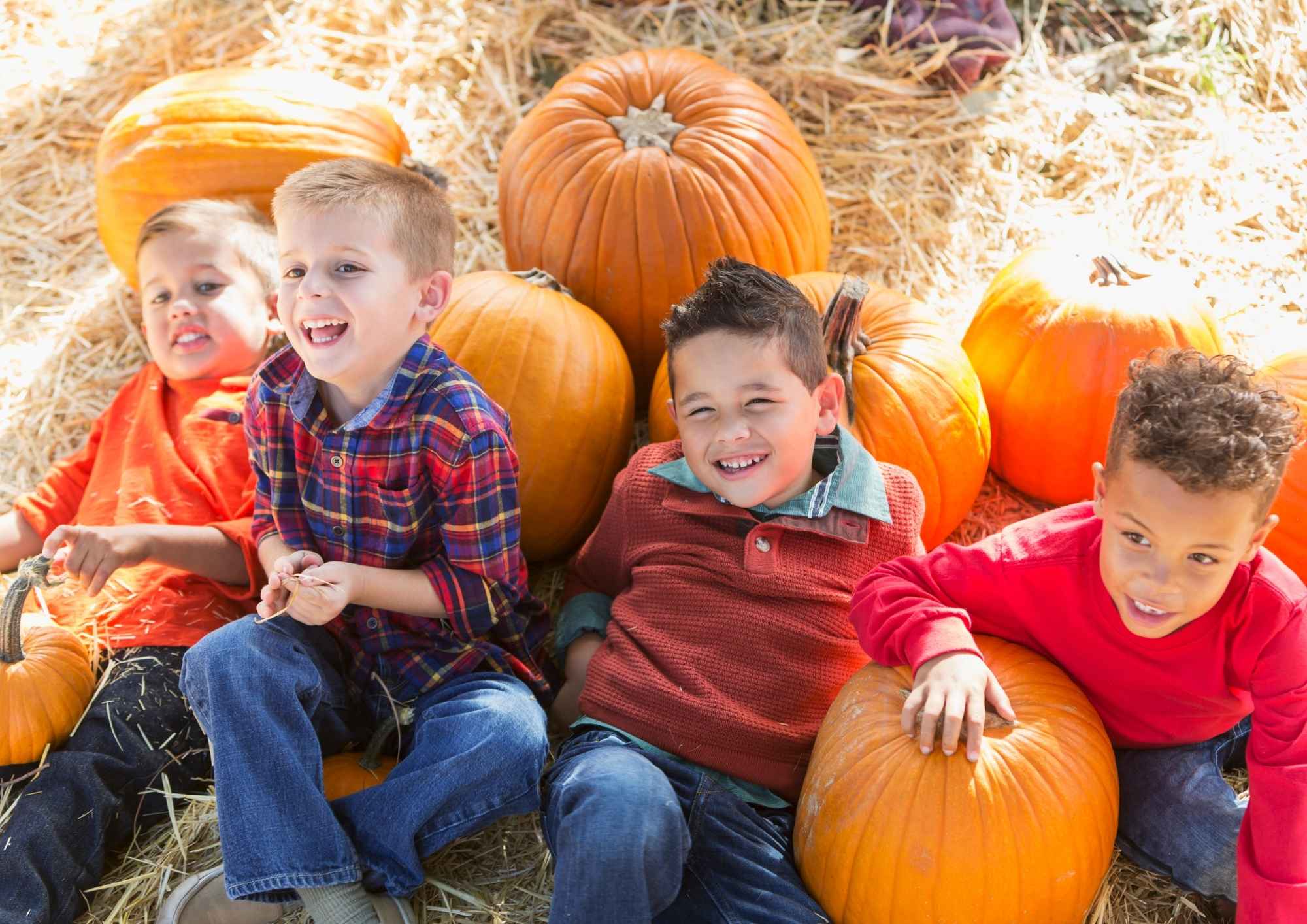 Fall Festivals and Events Around Greater Philadelphia, the Suburbs, and South Jersey (2026) Fall Festivals and Events Around Greater Philadelphia, the Suburbs, and South Jersey (2026)