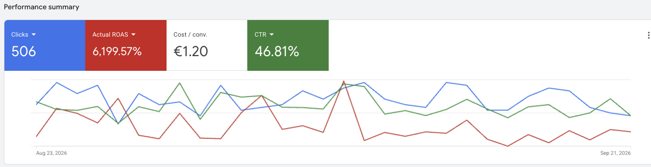 Google Ads Brand Bidding Dashboard Savion - E-Commerce Performance Summary