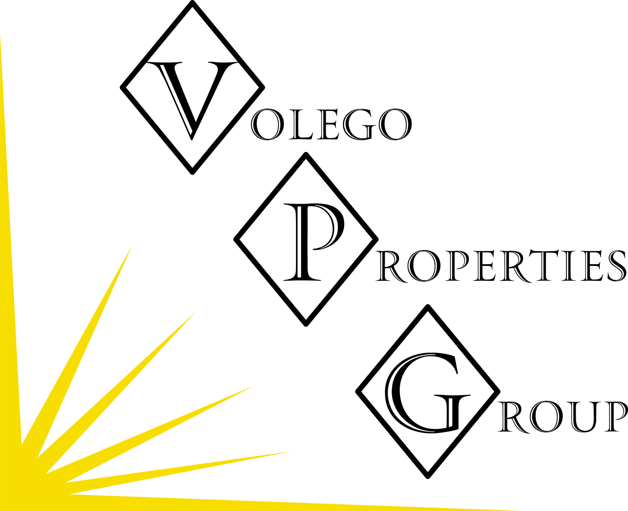 Volego Group logo