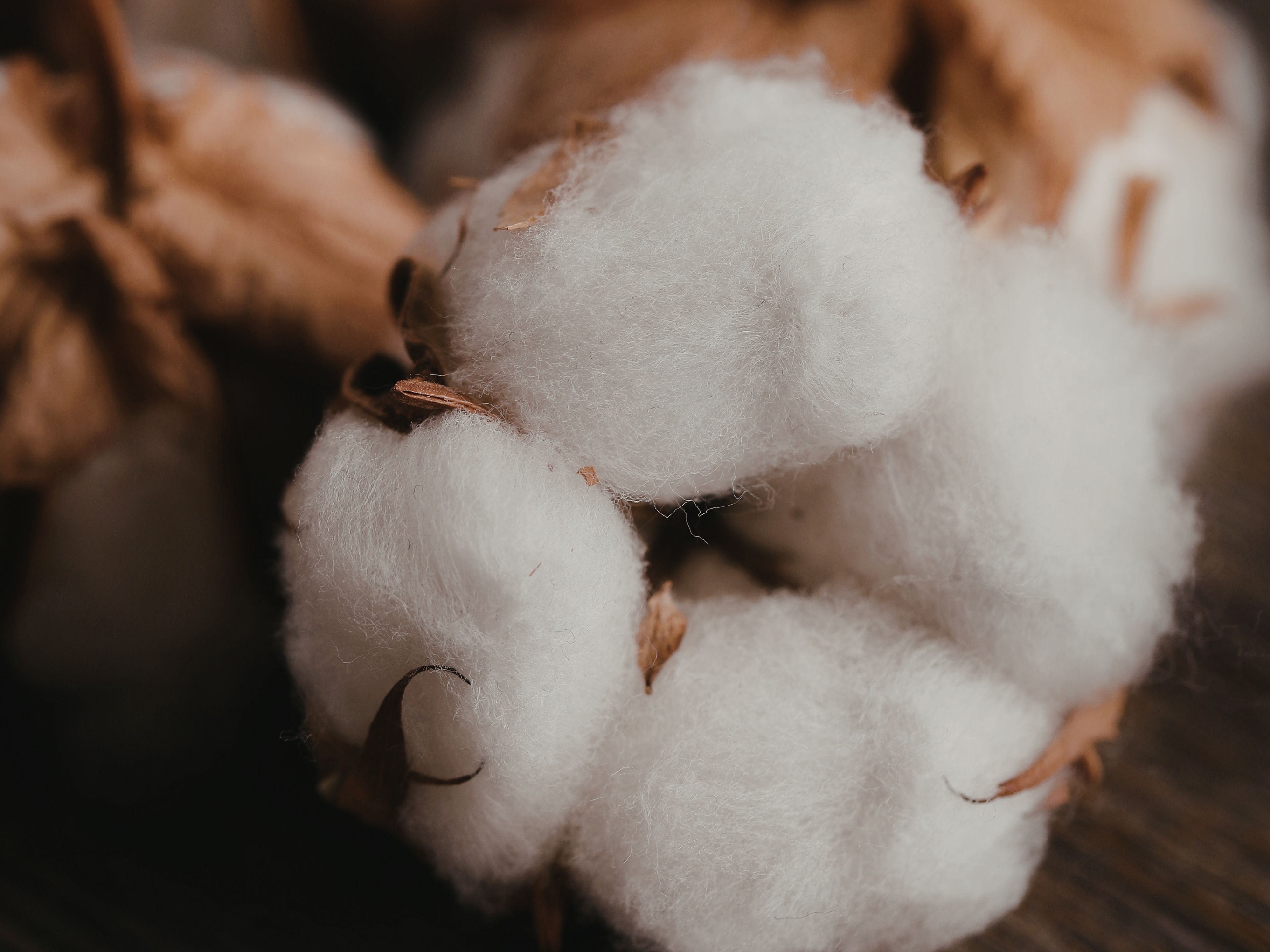 cotton fibre