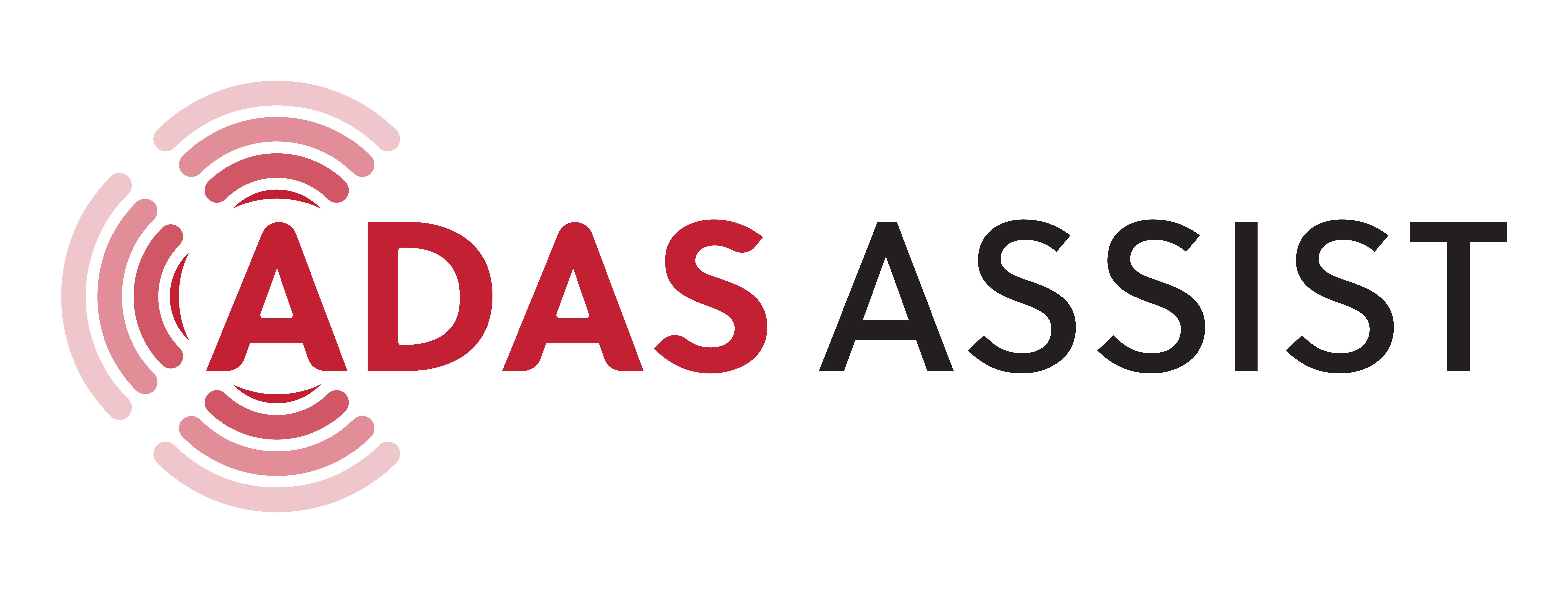 ADAS ASSIST