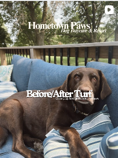 Before and after turf post