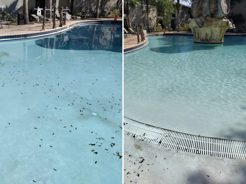 Pool stain removal