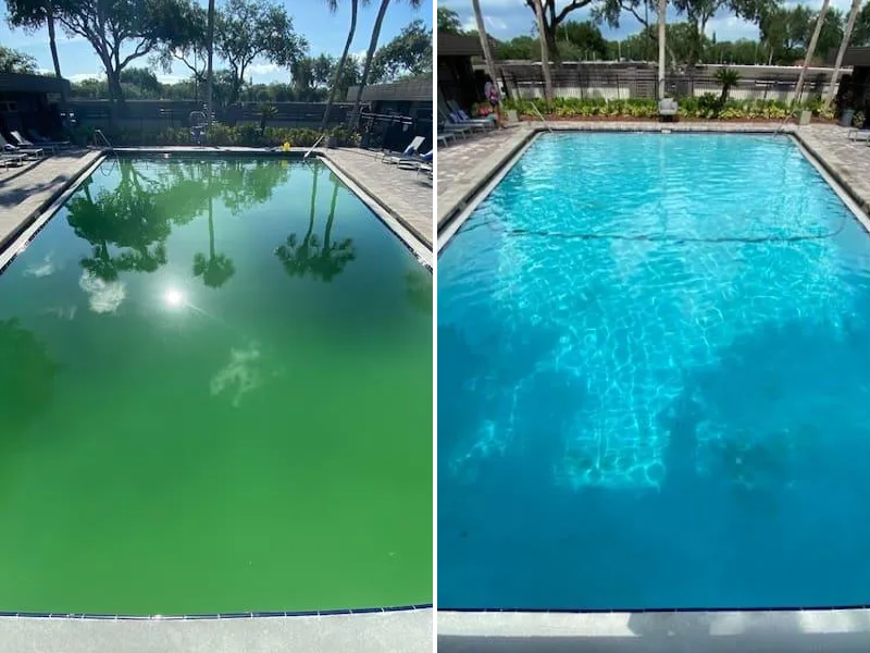 Pool cleanup