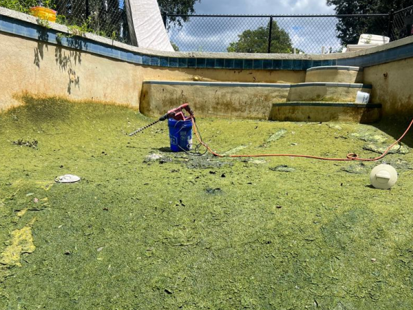 Pool before remodel