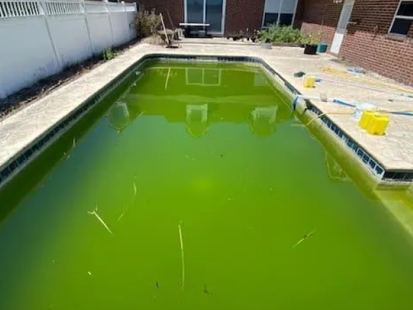 Pool before cleanup