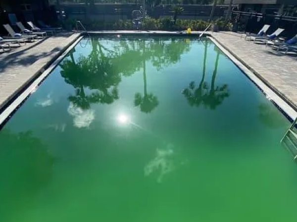 Pool before cleanup