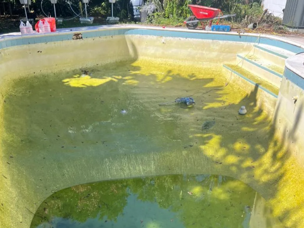 Pool before remodel