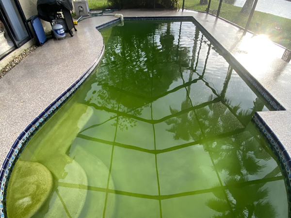 Pool before cleanup