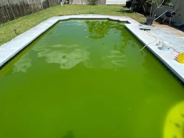 Pool before cleanup