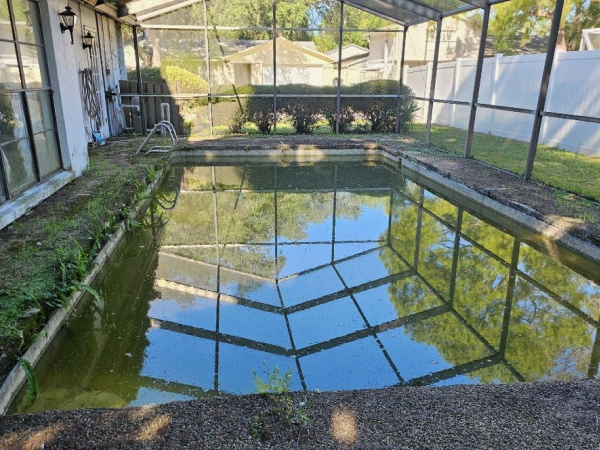Pool before cleanup