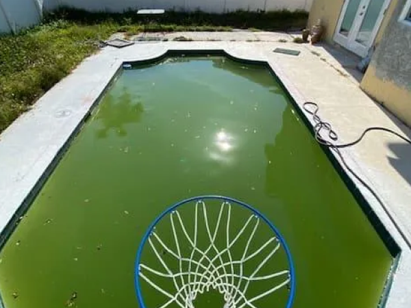 Pool before cleanup