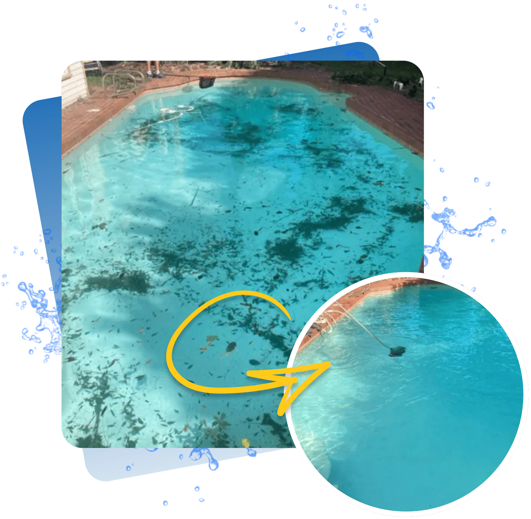 Phillips Pool Service technician maintaining a pool