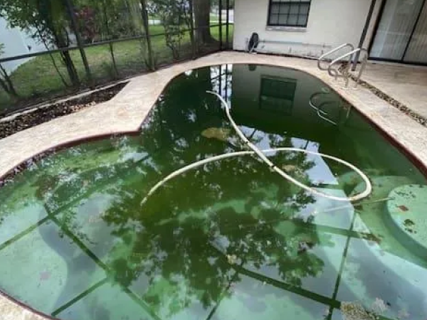 Green pool before treatment