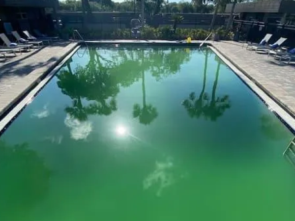 Pool before remodel