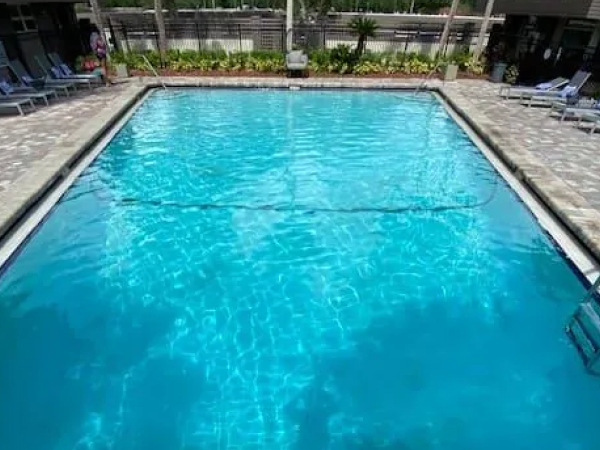 Pool after remodel