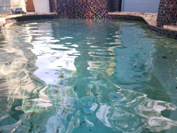 Pool before stain removal