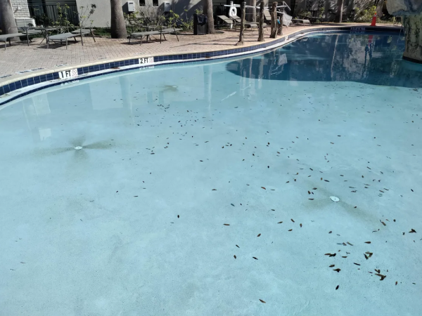 Pool before stain removal