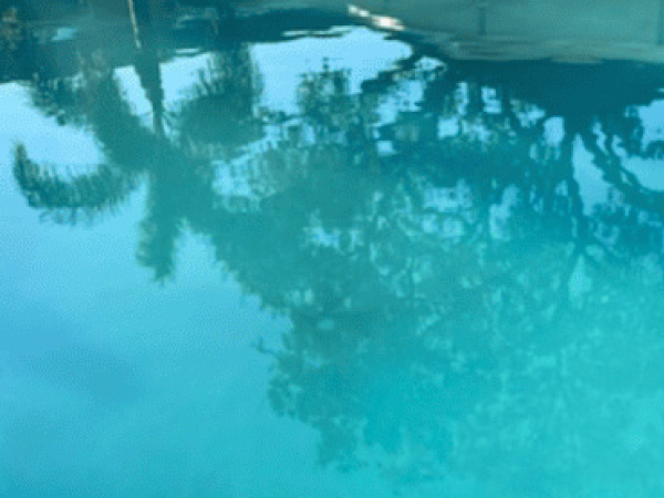 Pool after recurring maintenance