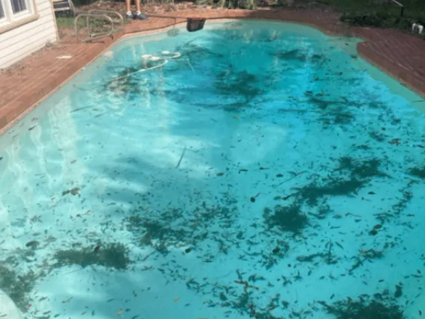 Pool before recurring maintenance