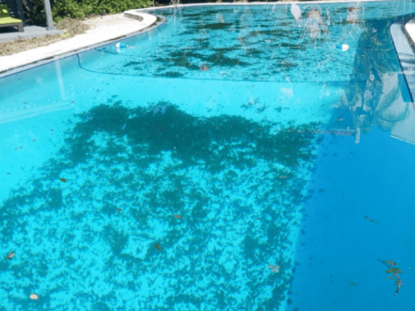 Pool before recurring maintenance