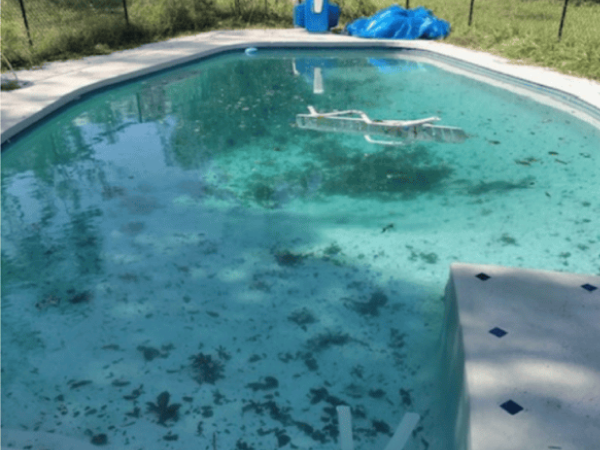 Pool before recurring maintenance