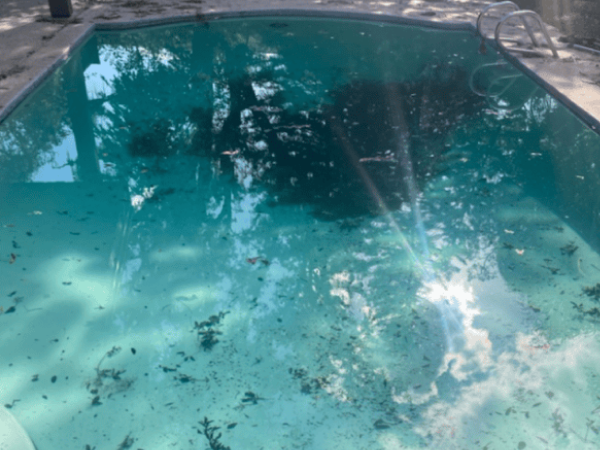 Pool before recurring maintenance