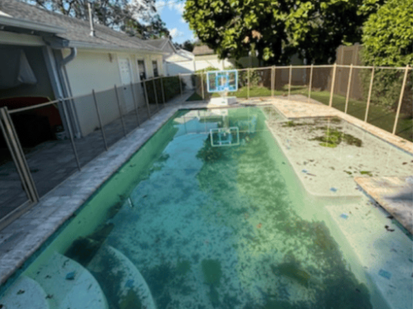 Pool before recurring maintenance