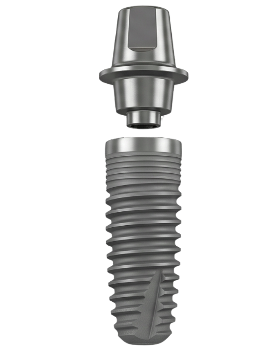 Implant