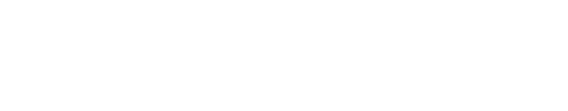 Setton Consulting Logo