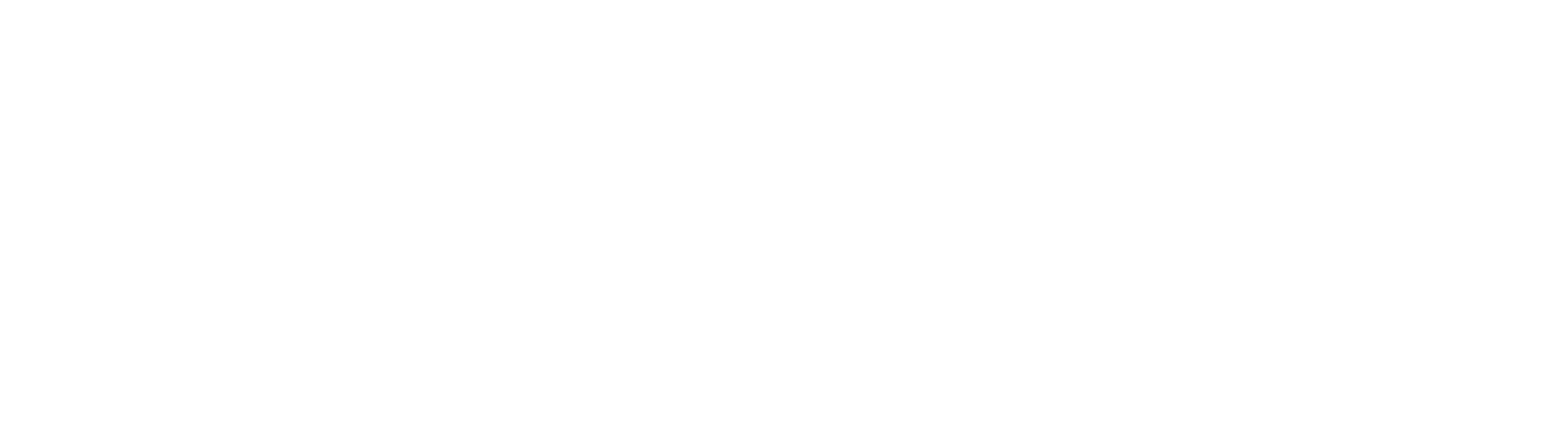 Riverina Storage logo