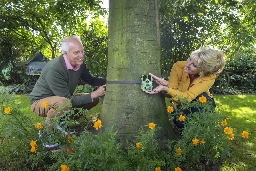 Camouflage video still