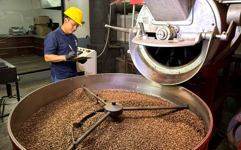 Encargado del tostador supervisando el café recién tostado en la tina de enfriamiento