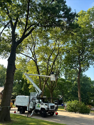 {{ custom_values.service_1 }} in {{custom_values.area_1})